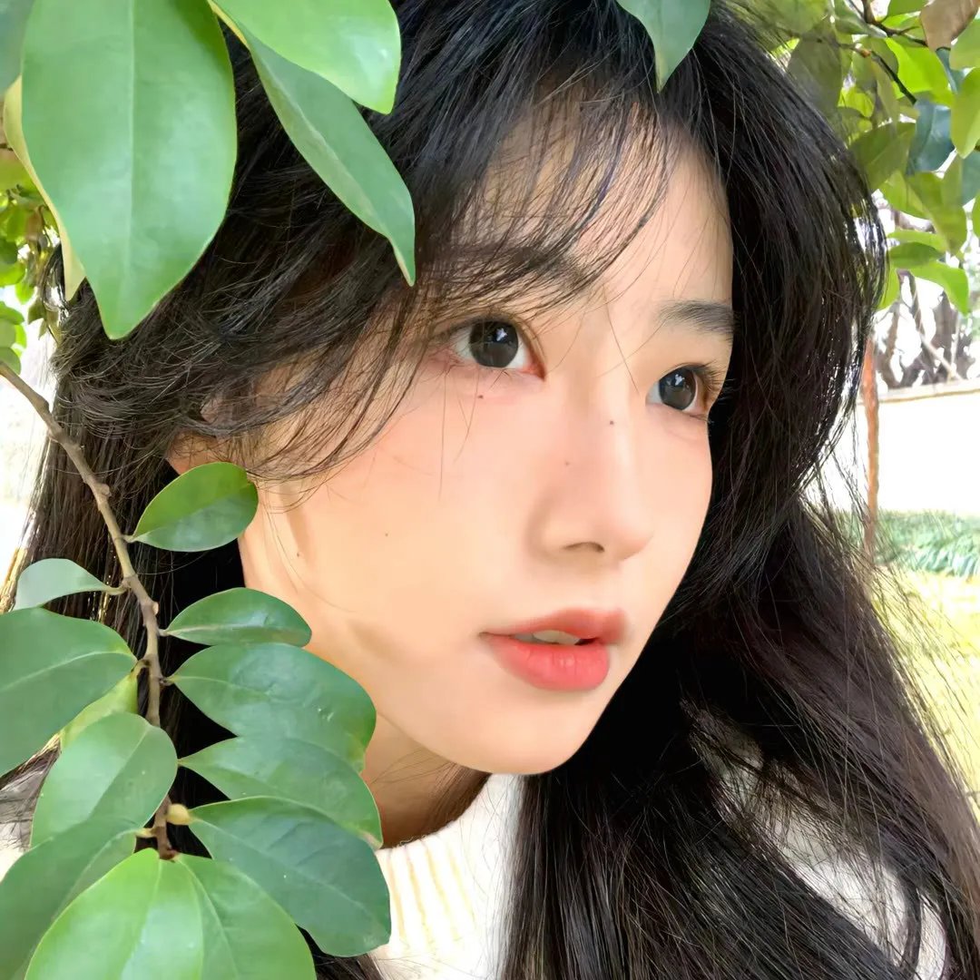 潮流教主粤语