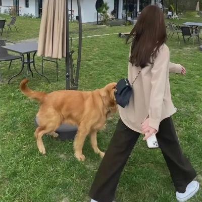 脱欧：无理之战